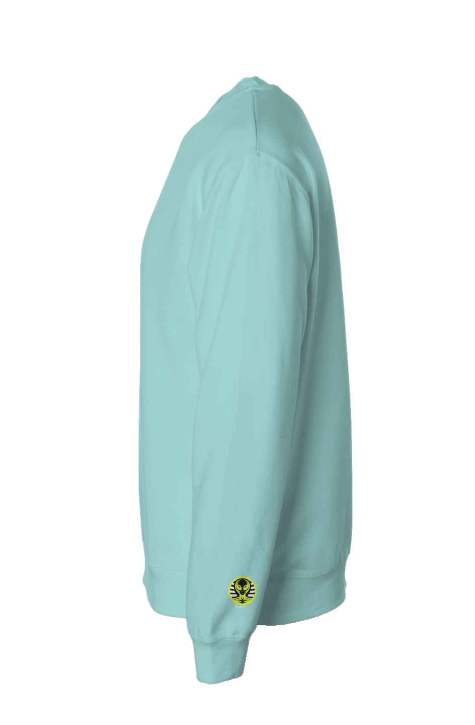 SolarynBloom Classic Crewneck